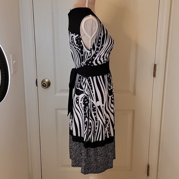 AA Studio AA Zebra and Polka Dot Dress  Size 10 EUC! - Picture 4 of 6